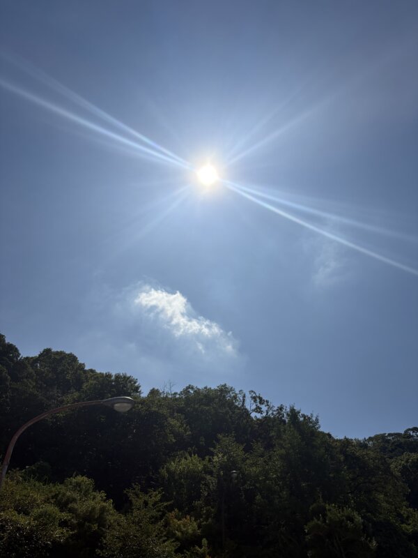 参りました